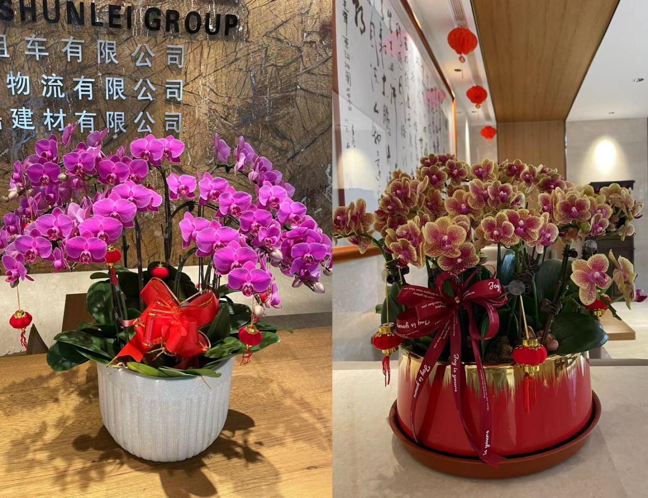 喜气洋洋迎新年，后勤气氛组已就位！