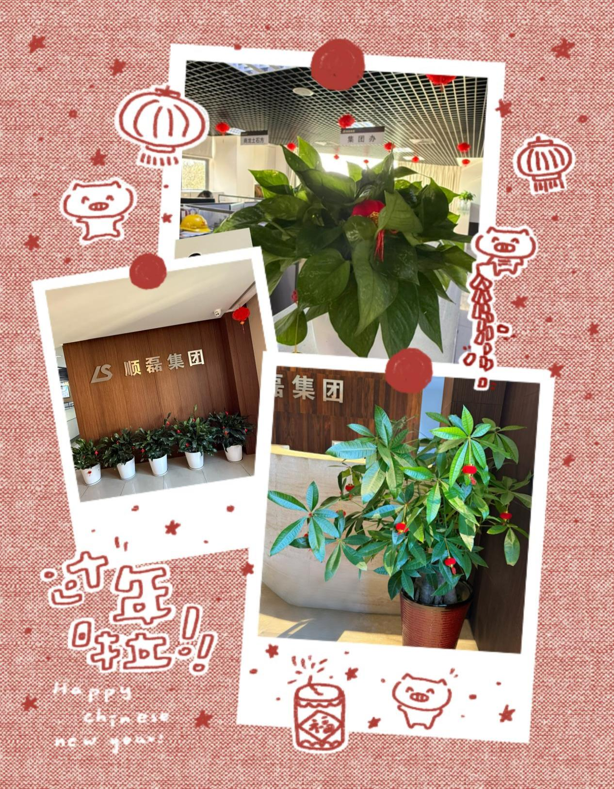 巧饰迎蛇年 焕发新气象